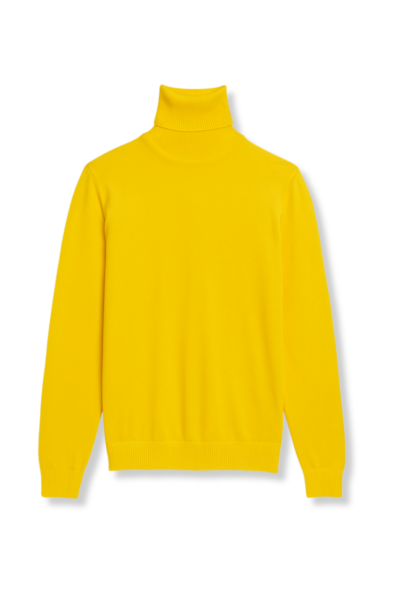 Donnie Turtleneck Sweater