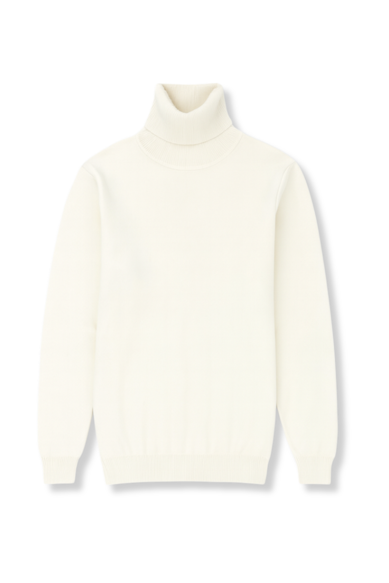 Donnie Turtleneck Sweater