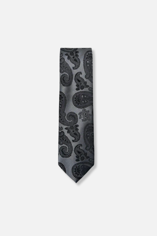Dabney Classic Paisley Tie