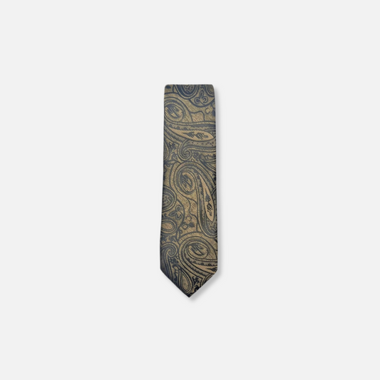 Dagan Classic Paisley Tie