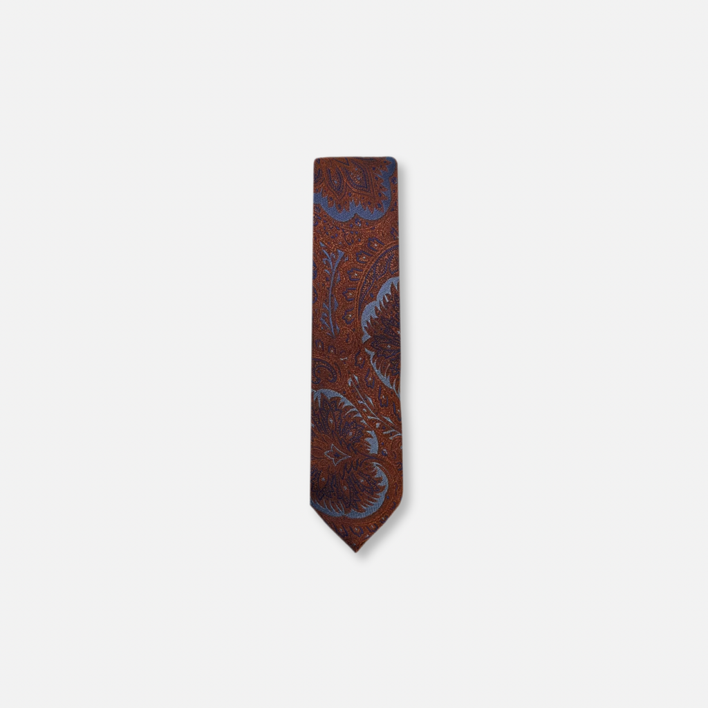 Dalman Classic Paisley Tie