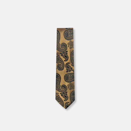 Dabney Classic Paisley Tie