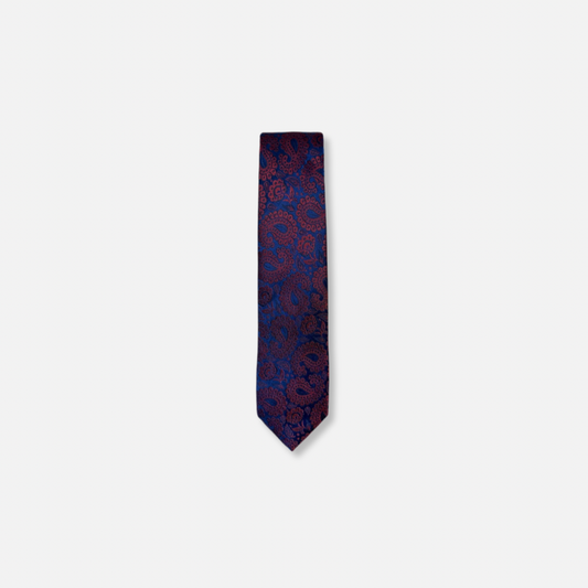 Darden Classic Paisley Tie