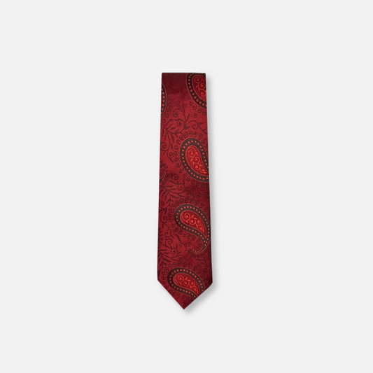 Darnell Classic Paisley Tie