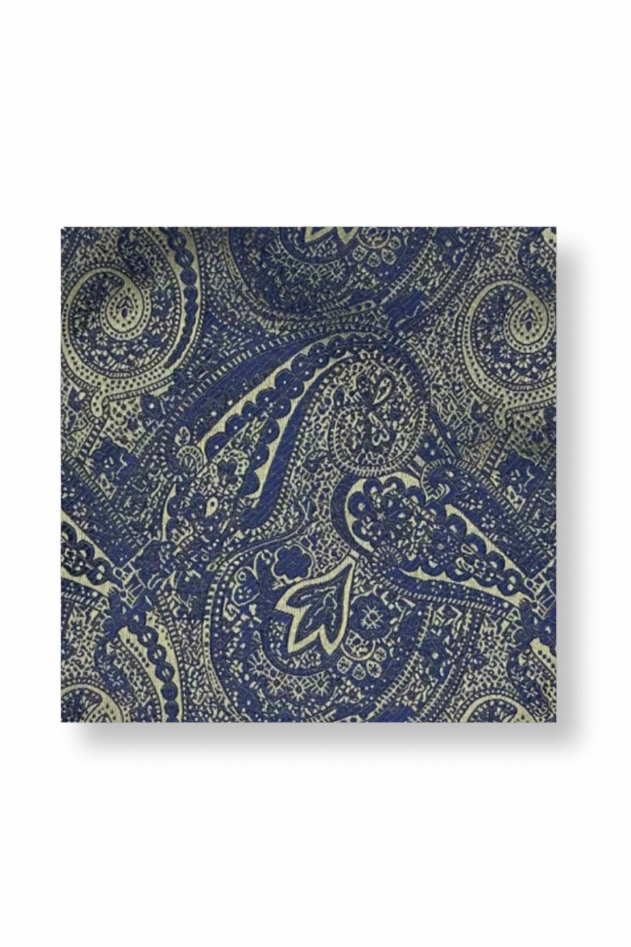 Dalpe Paisley Pocket Square