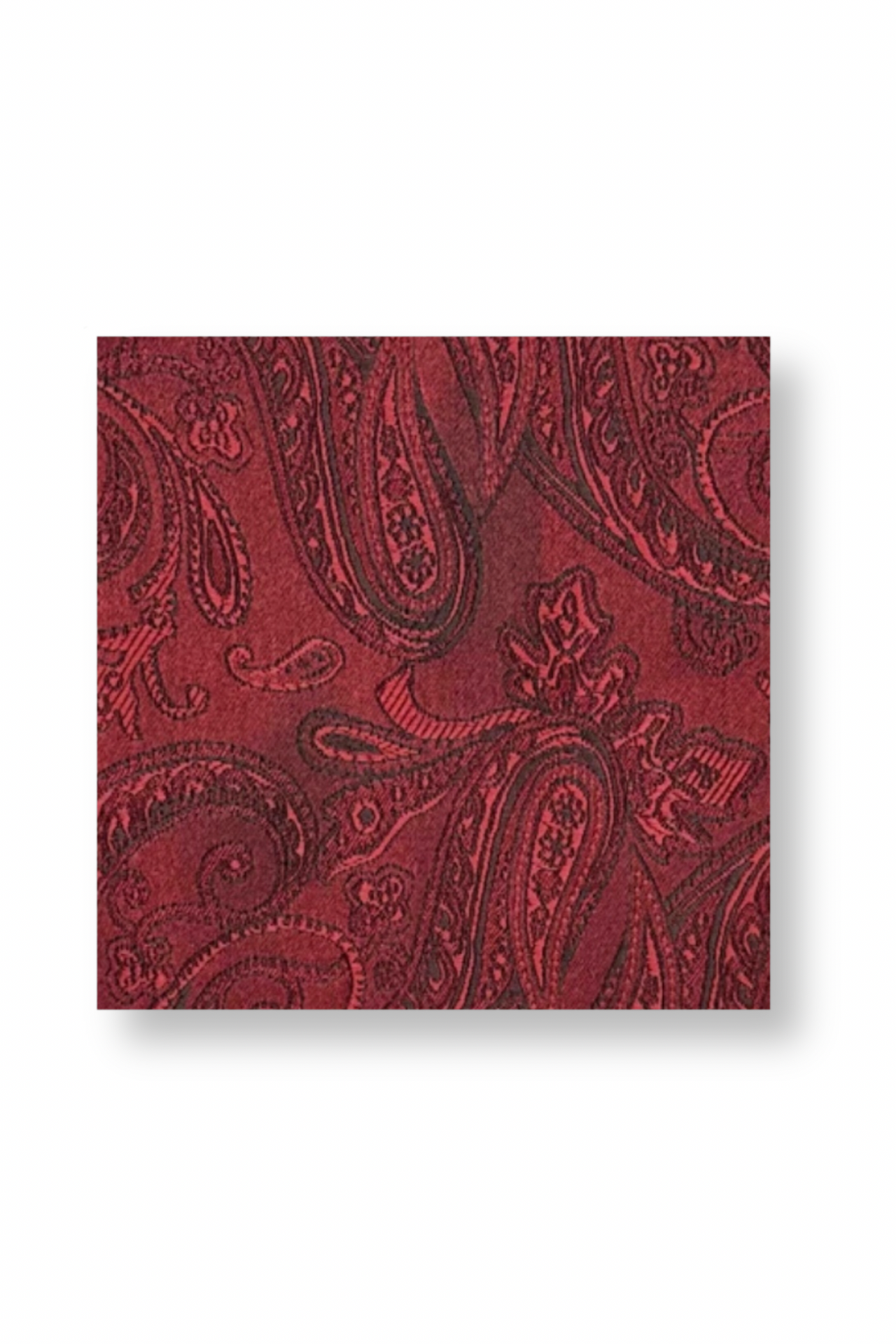 Daulton Paisley Pocket Square