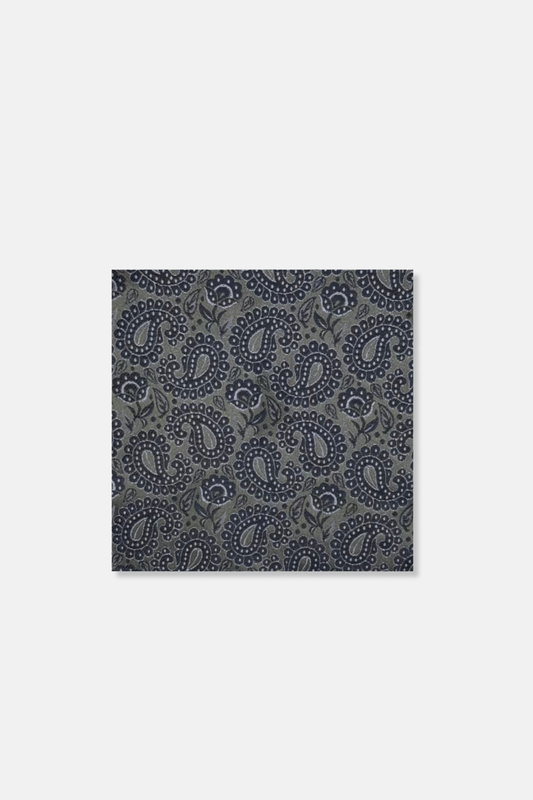 Darden Paisley Pocket Square