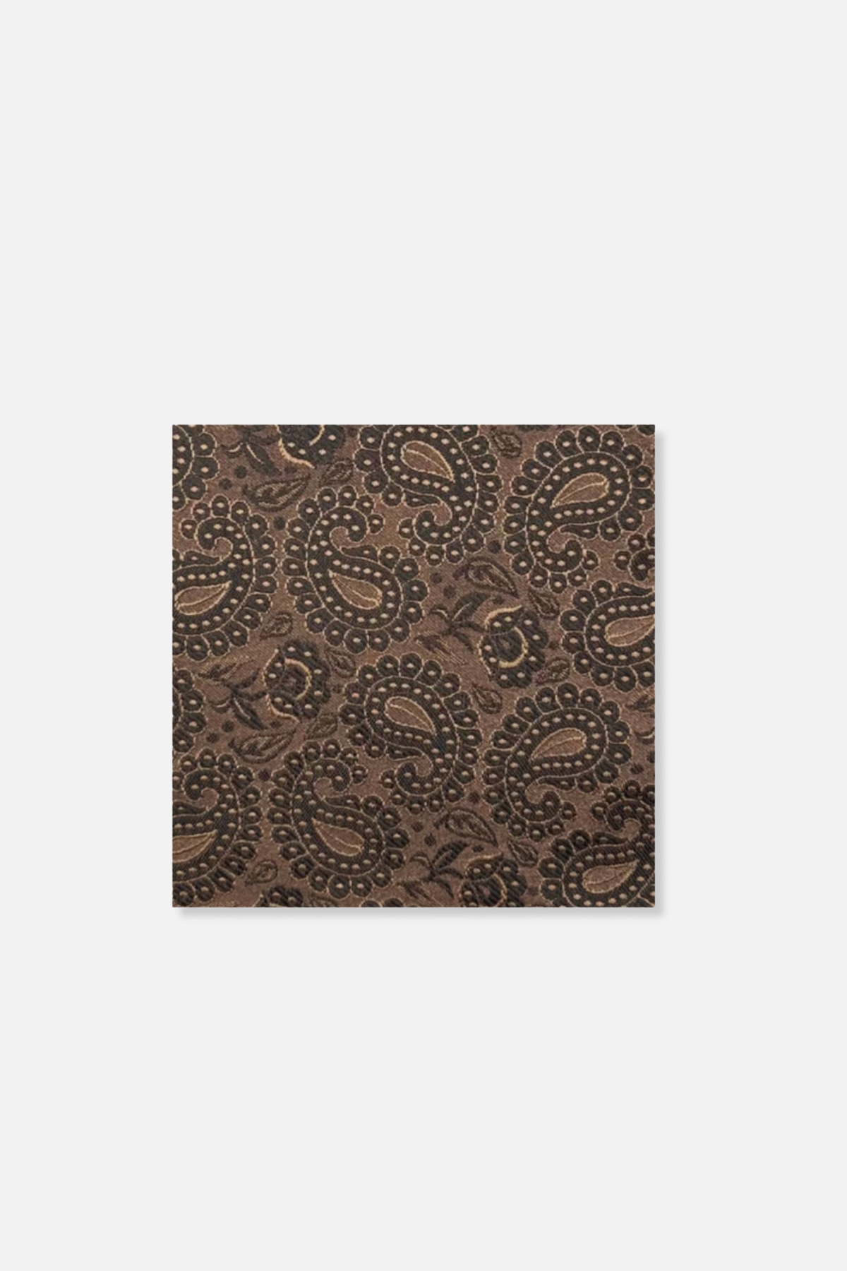 Darden Paisley Pocket Square