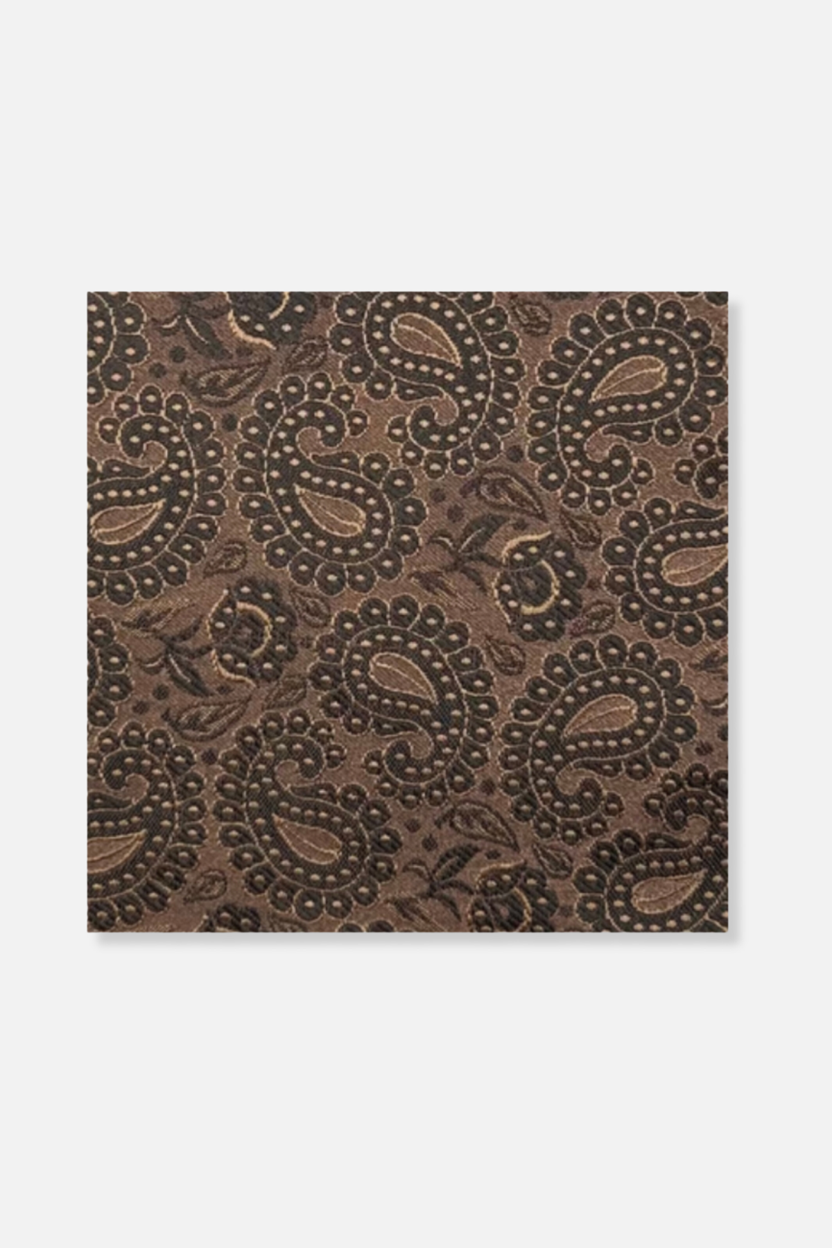 Darden Paisley Pocket Square