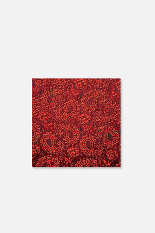 Darden Paisley Pocket Square