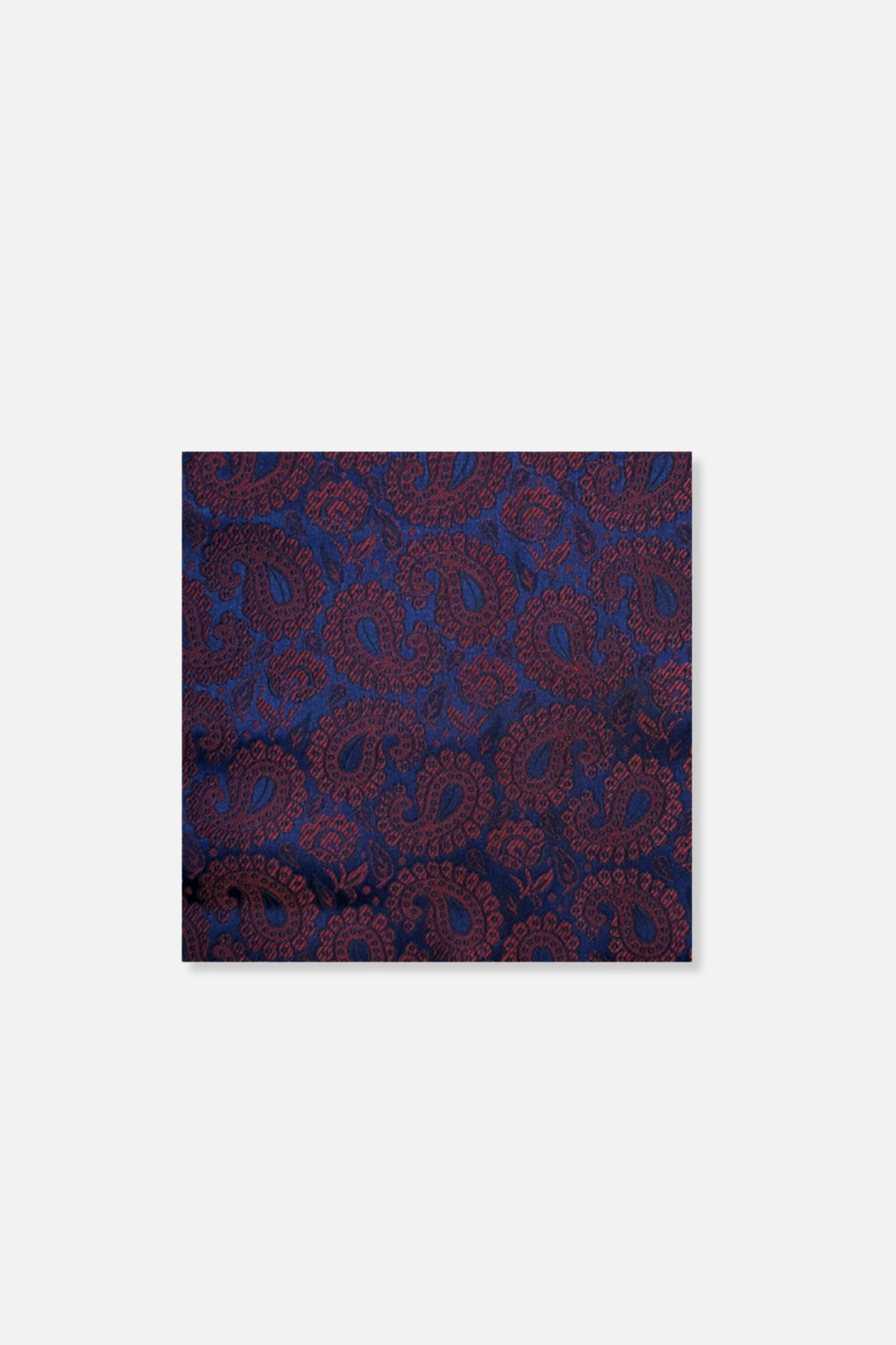 Darden Paisley Pocket Square