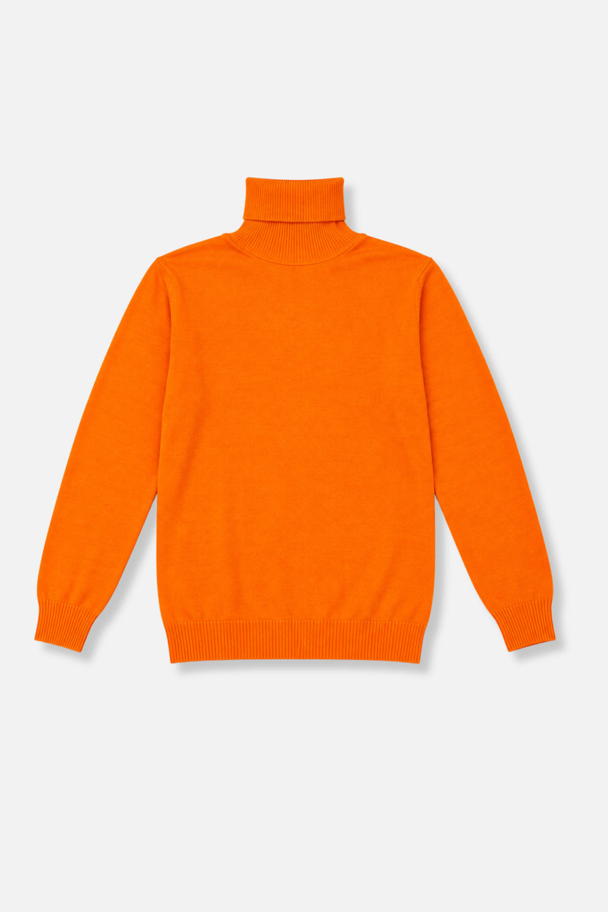 Donnie Turtleneck Sweater