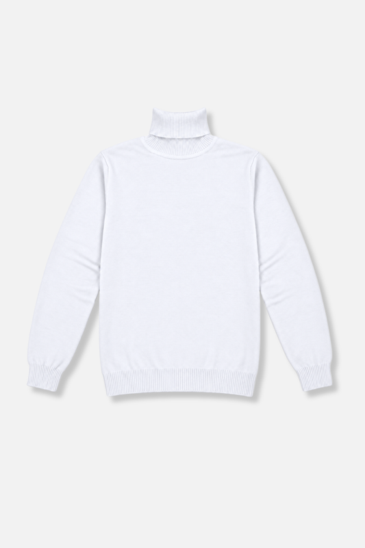 Donnie Turtleneck Sweater