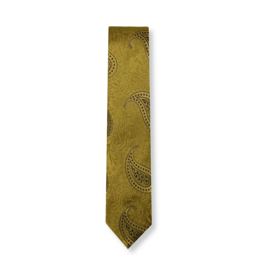 Darnell Classic Paisley Tie