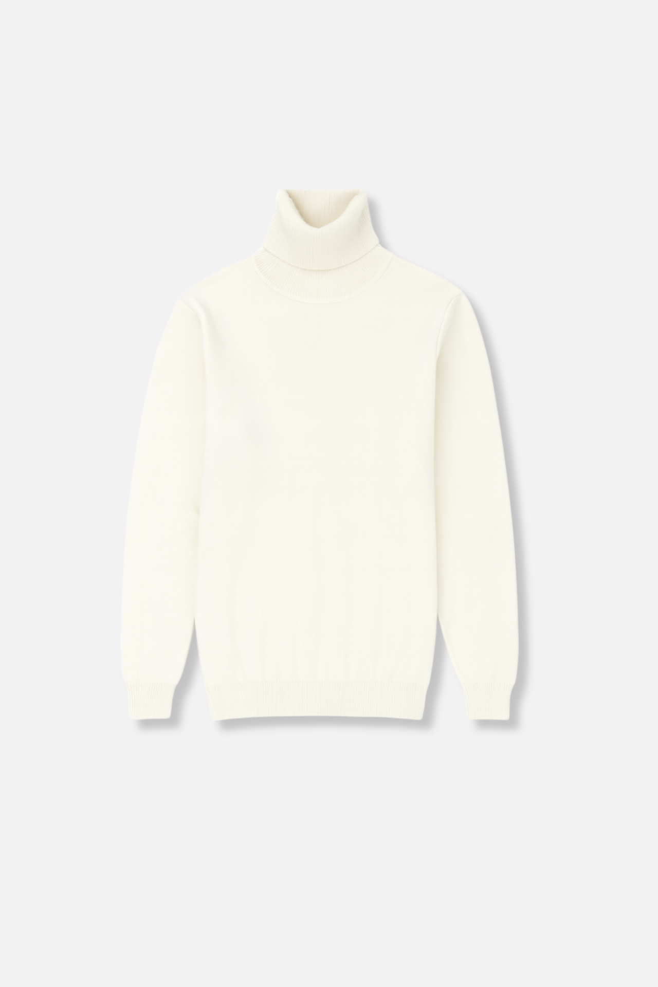 Donnie Turtleneck Sweater