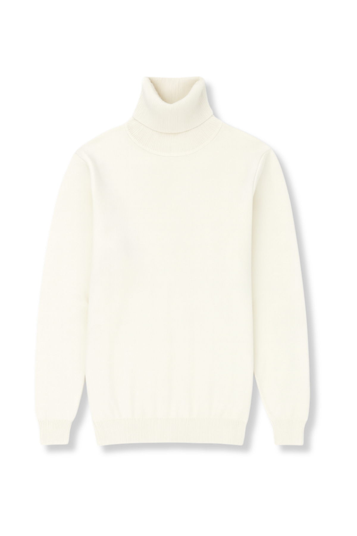 Donnie Turtleneck Sweater