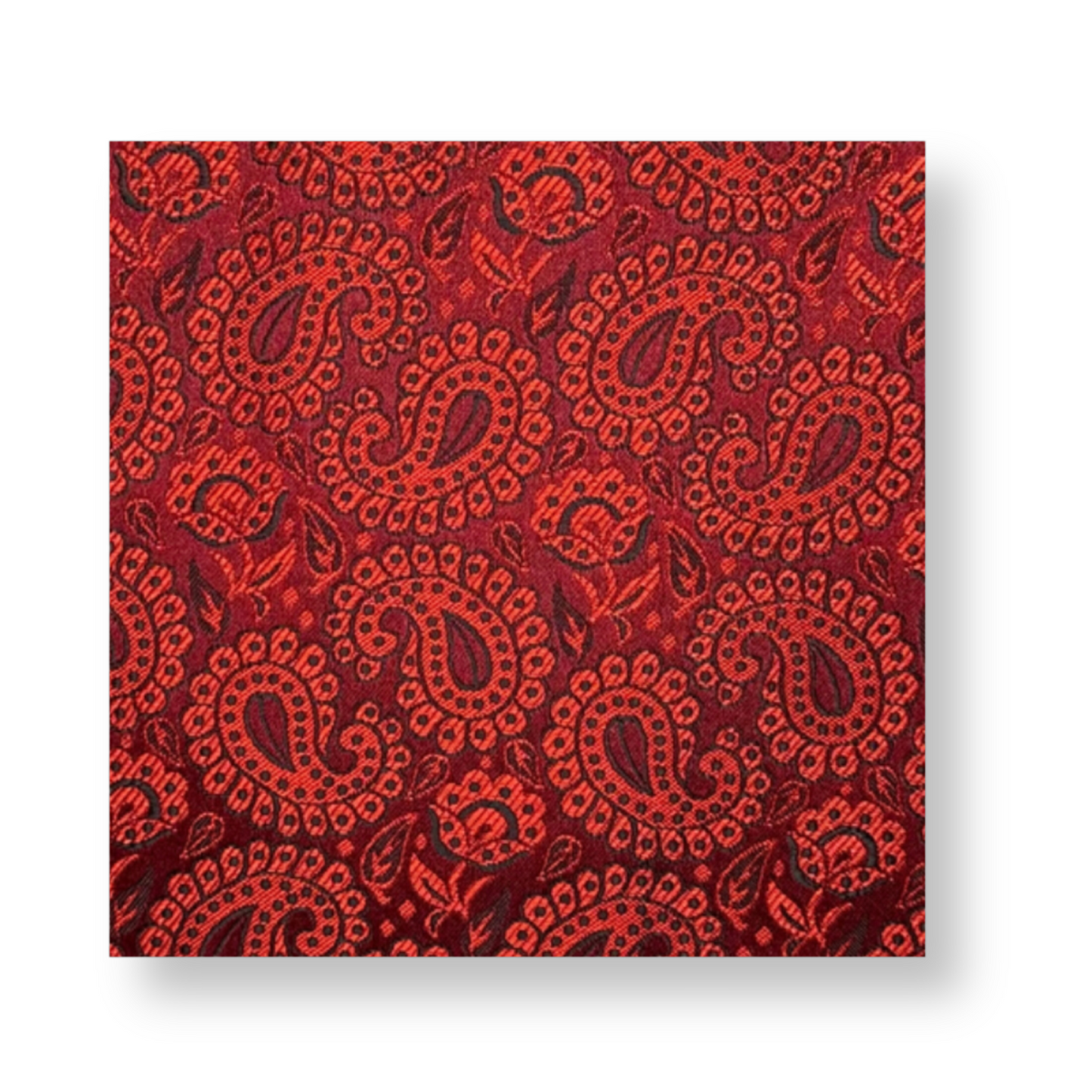 Darden Paisley Pocket Square