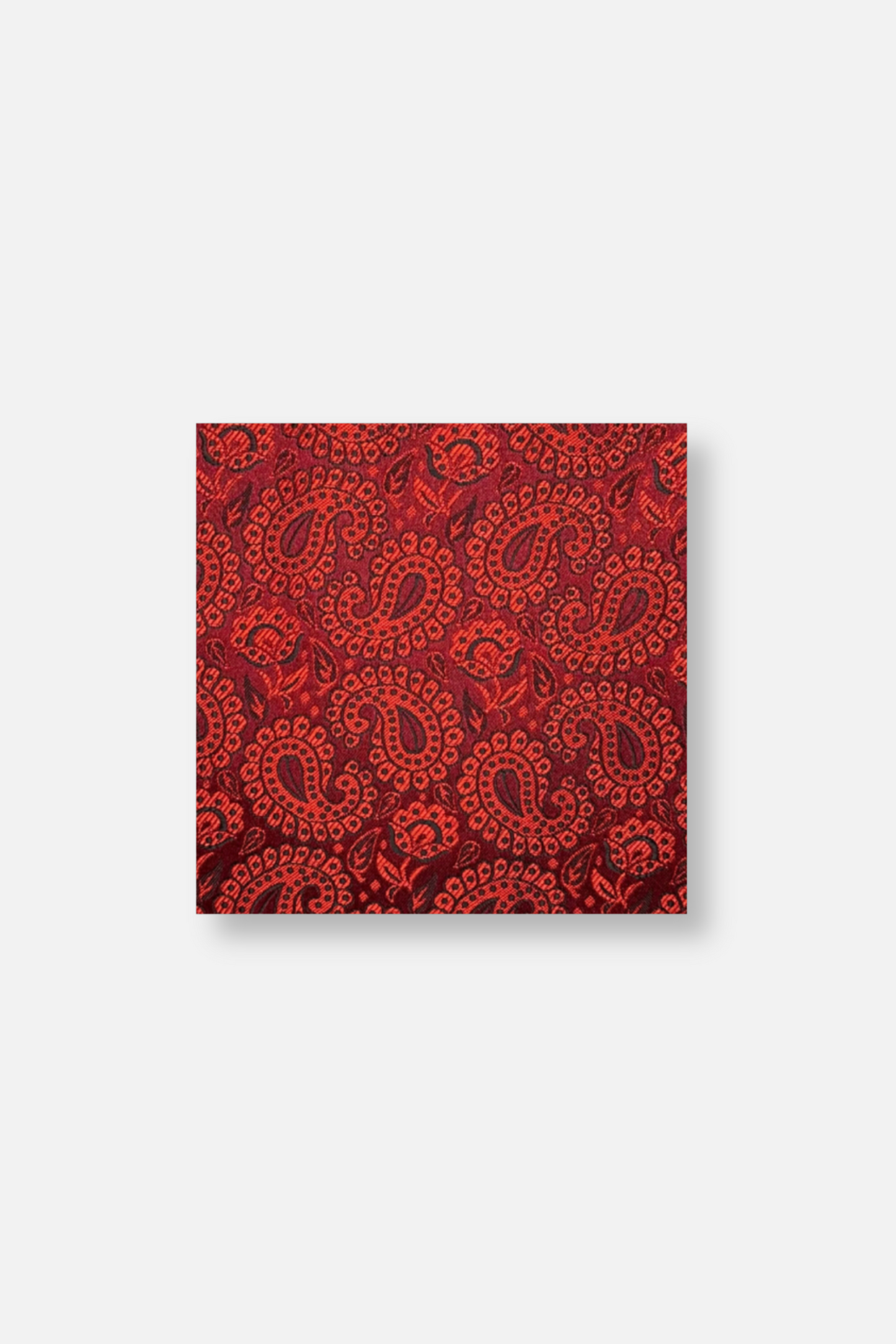 Darden Paisley Pocket Square