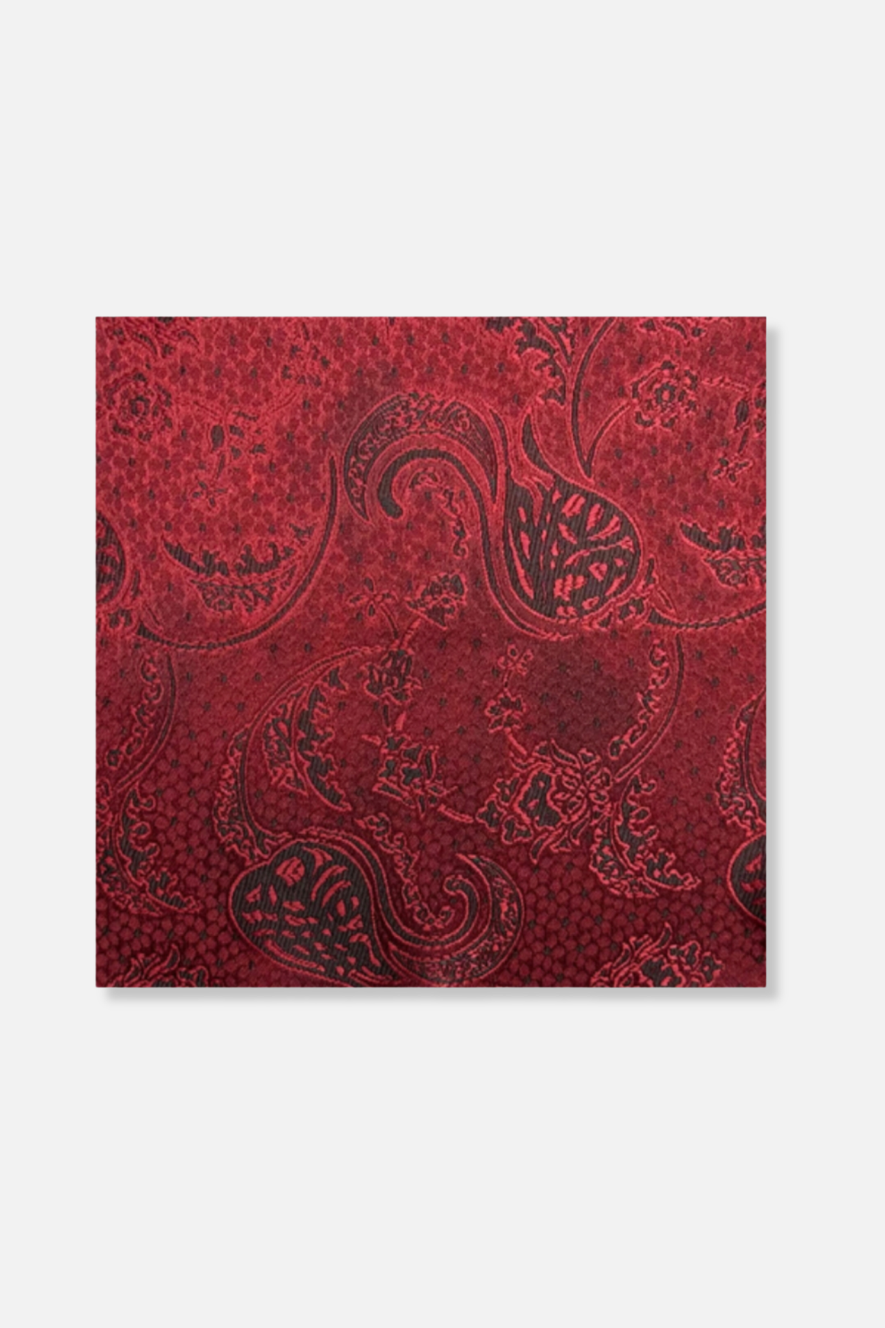 Daum Paisley Pocket Square
