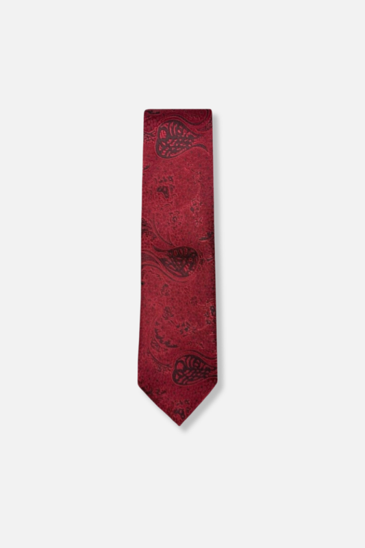 Daum Classic Paisley Tie